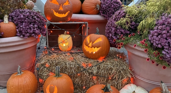 Pumpkins Aglow