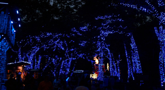 Starlight Experience