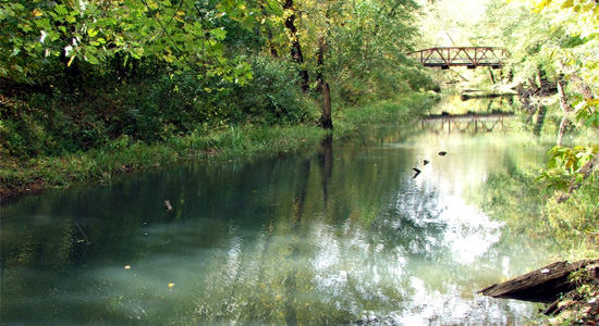 Zaleski State Forest