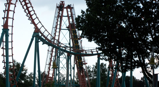 Carolina Cobra