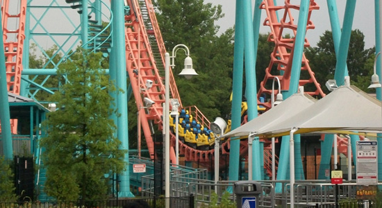 Carolina Cobra