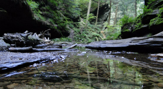 Conkles Hollow
