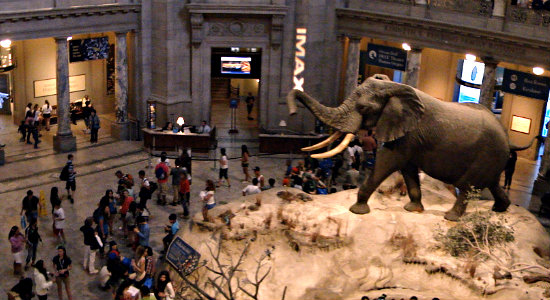 Museum of Natural History