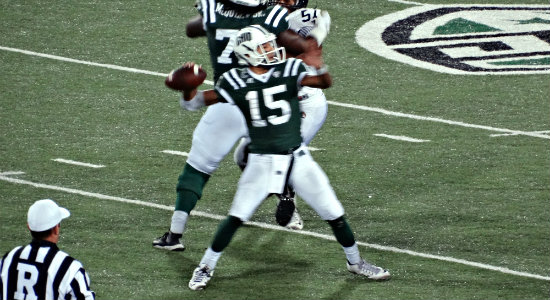 Bobcats