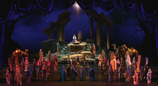 Christmas Spectacular