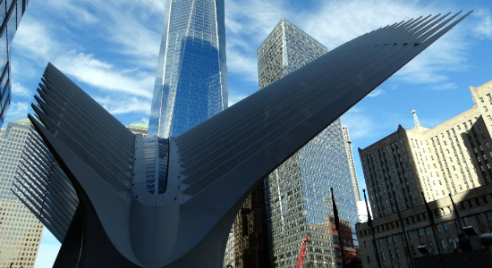 Oculus