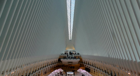 Oculus