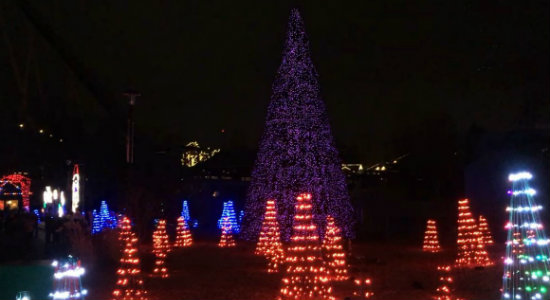 Winterfest