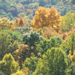 Conkles Hollow