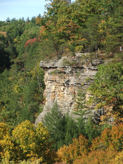 Conkles Hollow