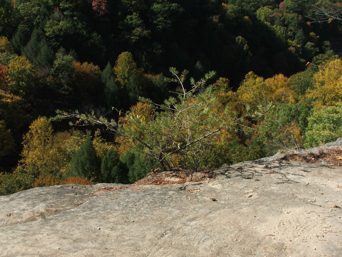Conkles Hollow