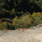 Conkles Hollow