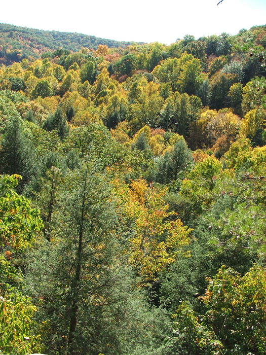 Conkles Hollow