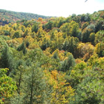 Conkles Hollow