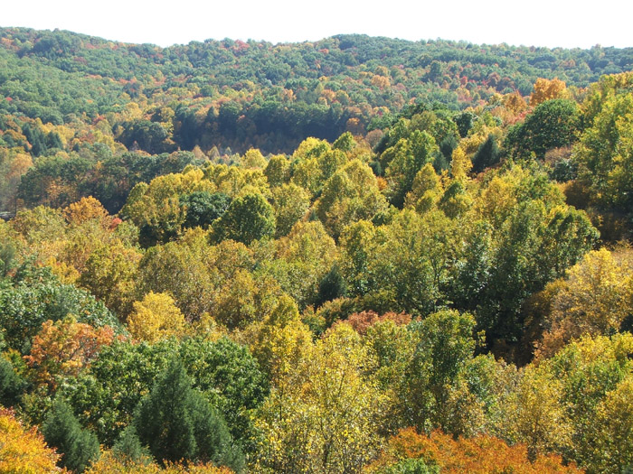 Conkles Hollow