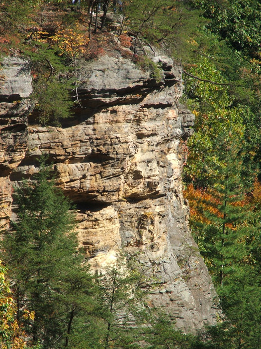 Conkles Hollow