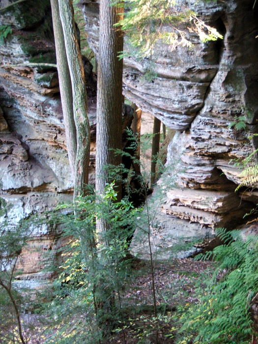 Conkles Hollow