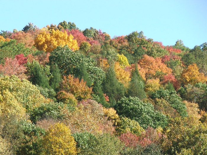Conkles Hollow