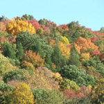 Conkles Hollow