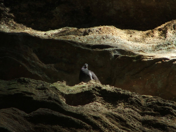 Ash Cave