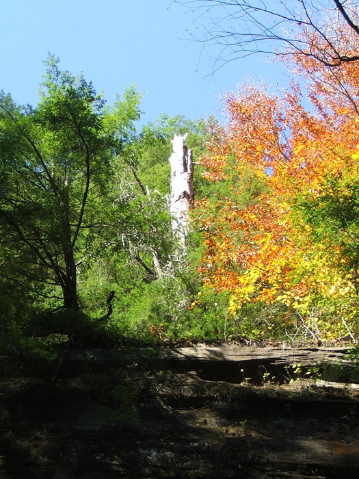 Ash Cave