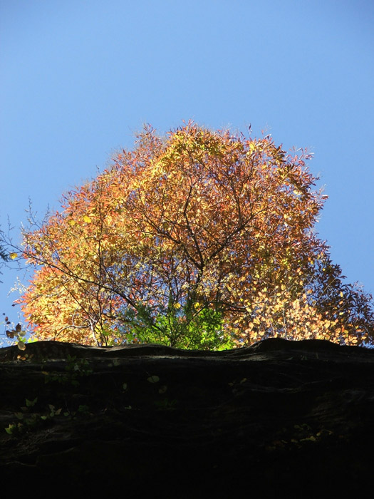 Ash Cave