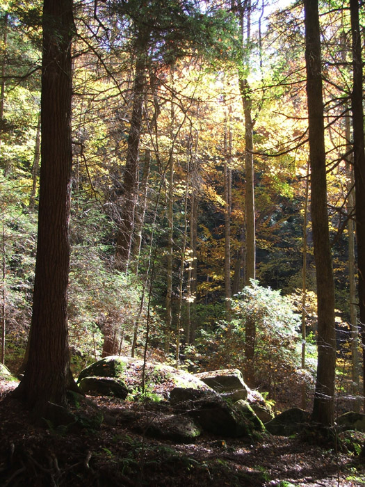 Ash Cave