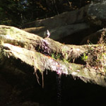 Ash Cave