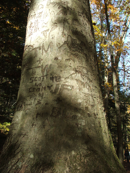 Ash Cave