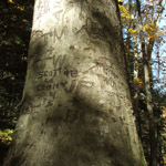 Ash Cave