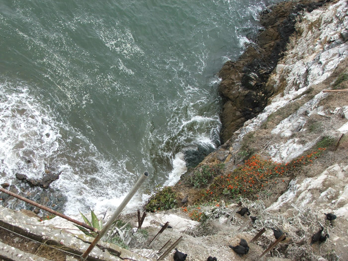 Alcatraz