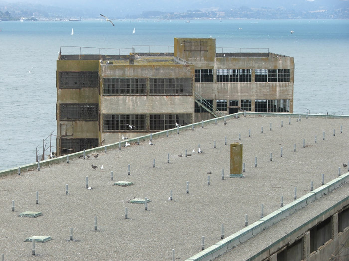 Alcatraz