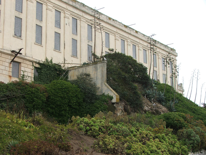 Alcatraz