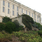 Alcatraz
