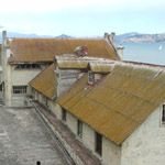 Alcatraz