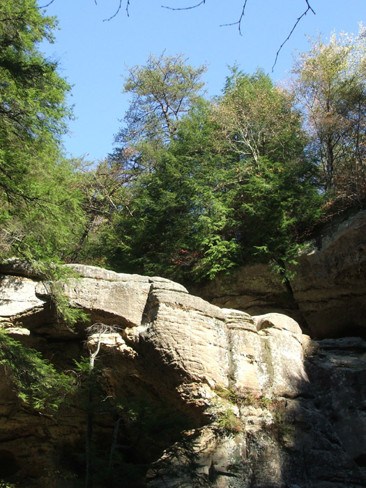 Cedar Falls