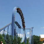 Shock Wave