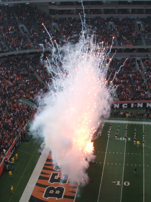 Cincinnati Bengals