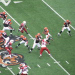 Cincinnati Bengals