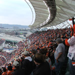 Cincinnati Bengals