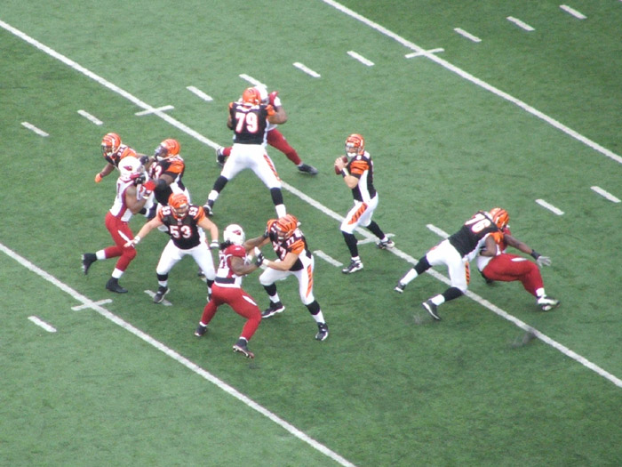 Cincinnati Bengals