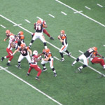 Cincinnati Bengals