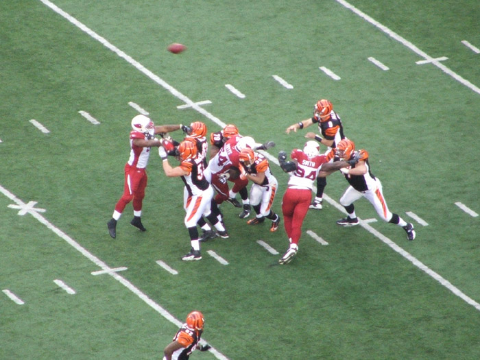 Cincinnati Bengals