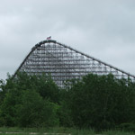 Shivering Timbers