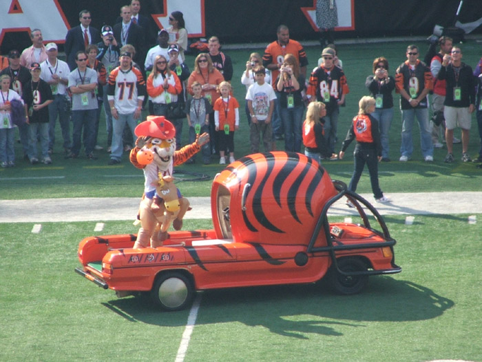 Who Dey