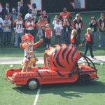 Who Dey
