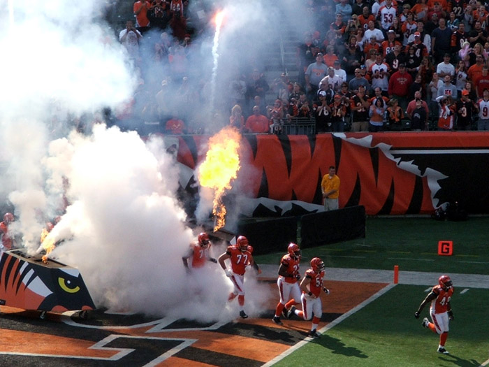 Bengals enter