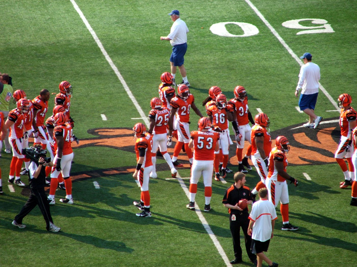 Bengals