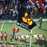 Who Dey