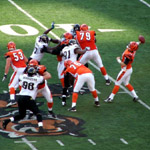 #11 Ryan Fitzpatrick